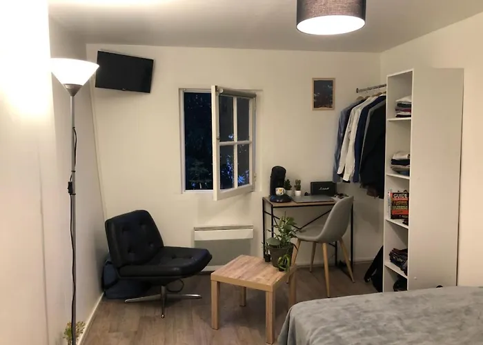 Hypercentre A 2 Pas De La Gare N°2 阿让